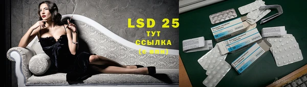 PSILOCYBIN Переславль-Залесский