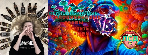 герыч Алексин