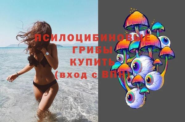 ешки Алзамай
